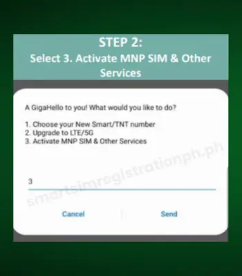 smart sim activation using USSD Code step 2